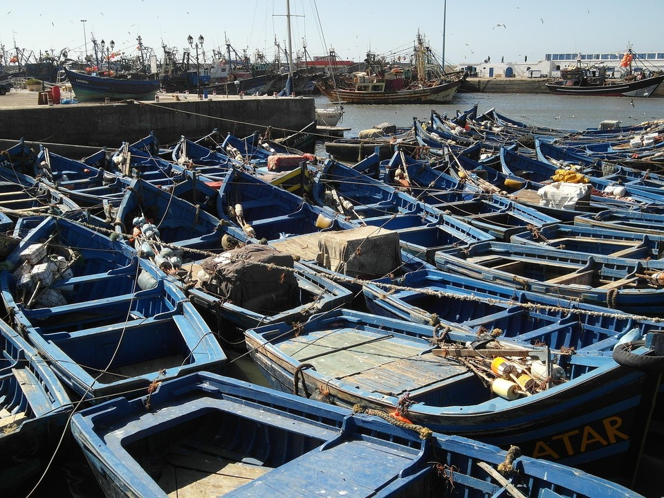 Barques de pêche bleues dans le port d'Essaouira