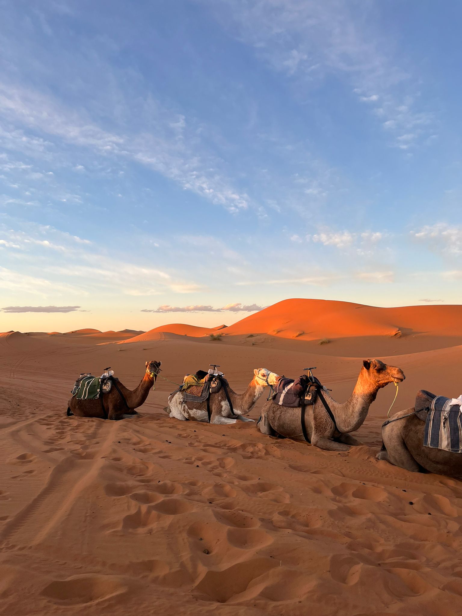 Village marocain et montagnes
