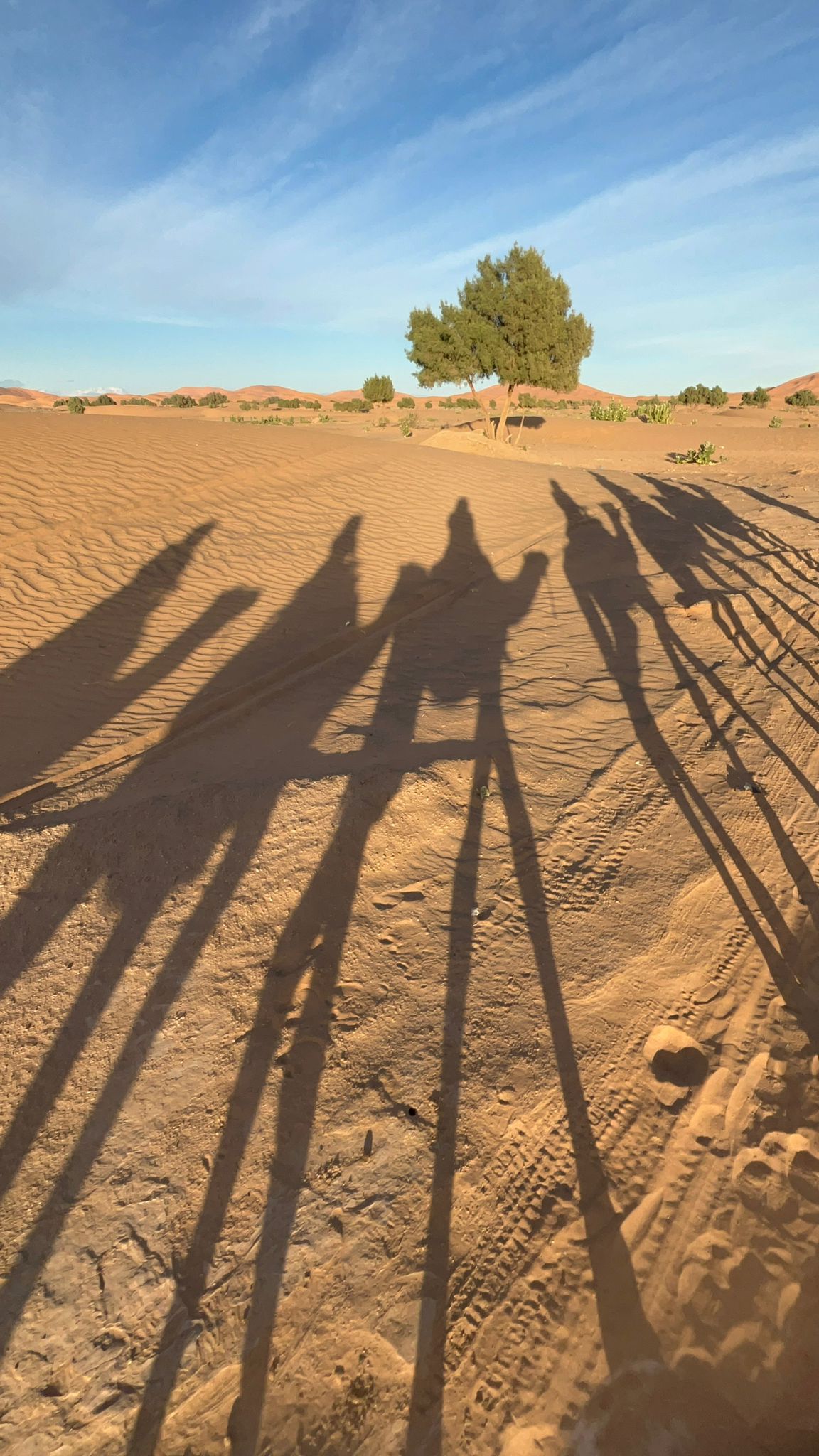 Dunes dorées de l'Erg Chebbi près de Merzouga au coucher du soleil sur le circuit saharien de deux nuits