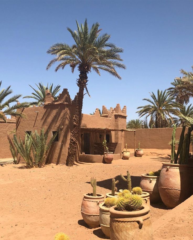Balade en dromadaire dans le désert de Zagora