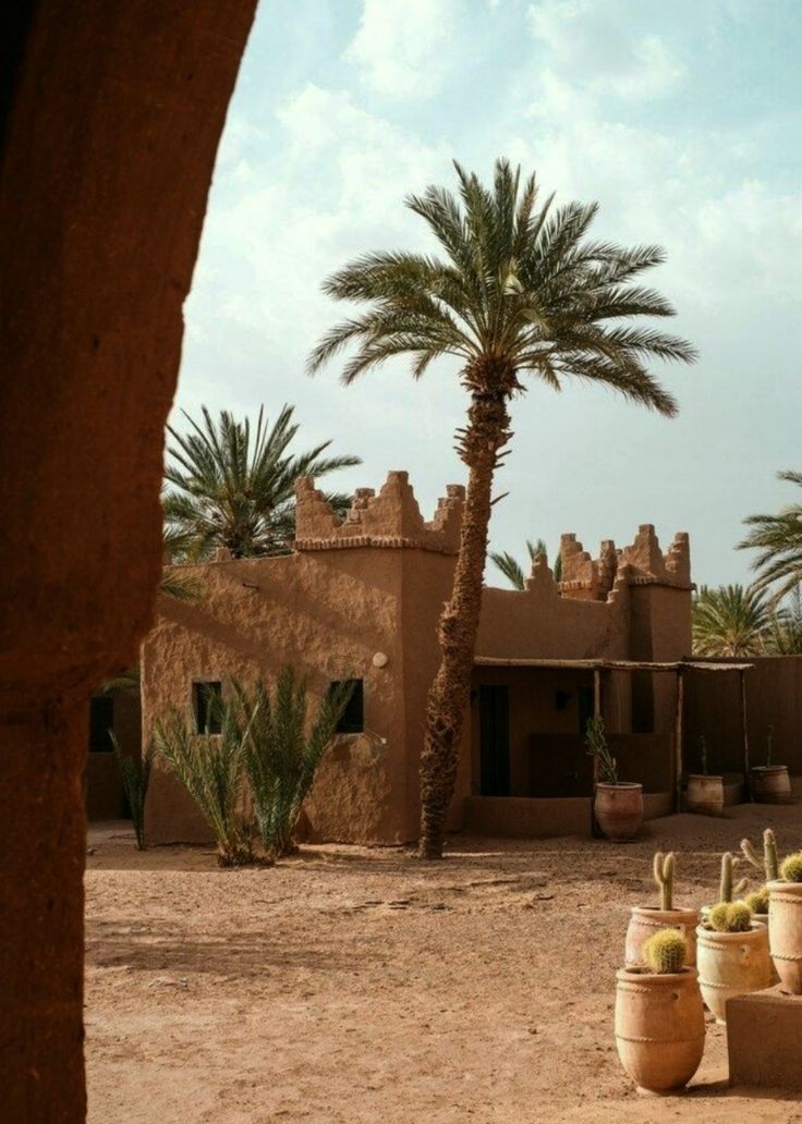Palmeraies de la vallée du Draa près de Zagora